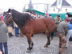Klobucký-jarmek-2007.jpg