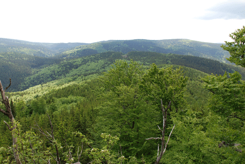 Bezpečnostní dveře – klidná dovolená